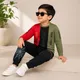 Olive Green ,Black__Ctkart