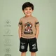 Brown And Black__Ctkart