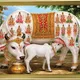 Metallic Gold__Krishna Krishna International