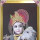 Metallic Gold__Krishna Krishna International