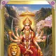 Metallic Gold__Krishna Krishna International