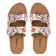 Multicolor__QTFOAM