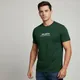 Green__Valesto