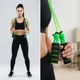 Green & Black__SPORTWALA