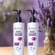 (Pack of 2)__Esveta
