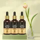 (Pack of 3)__Esveta
