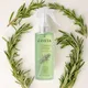 (Pack of 1)__Esveta