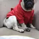 Red__Baeship Studio