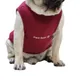 Maroon__Baeship Studio