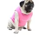 Pink__Baeship Studio