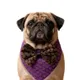 Purple__Baeship Studio