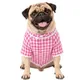 Pink__Baeship Studio
