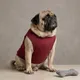 Maroon__Baeship Studio