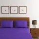 Purple__Bunkraft