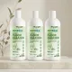 Pack Of 3__ECONICE