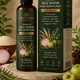 Natural__PAVEETRAA NATURALS