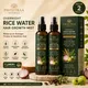 Natural__PAVEETRAA NATURALS