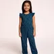 Blue__BHOOLKU