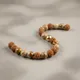 Brown__RUDRAKSHOLOGY
