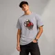 Grey__VASTRIO