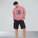 Flamingo__VASTRIO