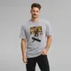 Grey__VASTRIO