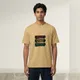 Beige__VASTRIO