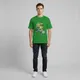 Flag Green__VASTRIO