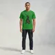 Flag Green__VASTRIO