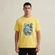 Yellow__VASTRIO