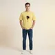 Yellow__VASTRIO