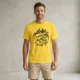 Dark Yellow__VASTRIO