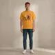 Golden Yellow__VASTRIO