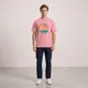 Flamingo__VASTRIO