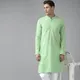 Light Green__DHARMANI