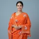 Orange__SUTRAN