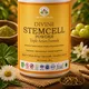 Dietary Supplement__DIVINE STORE