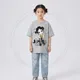 Gray__SHREE LADDU GOPAL