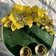 Yellow And Green__RANGLEELA HOMES