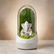 White__NATURE CROWN