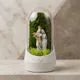 White__NATURE CROWN