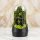 Black__NATURE CROWN