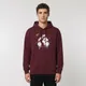 Maroon__AURIST