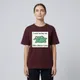 Maroon__AURIST