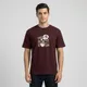 Maroon__AURIST