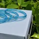 SURF__Shiv Bangles