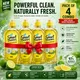 Pack of 4__Smart Cleaners