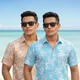 Blue  And Brown__Solixon