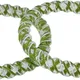 Green__Ny Lifestyles