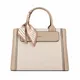 Beige__BAG SHOPEE